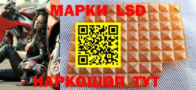 ГАЛЛЮЦИНОГЕННЫЕ ГРИБЫ Кинель