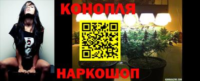 ГАЛЛЮЦИНОГЕННЫЕ ГРИБЫ Кинель