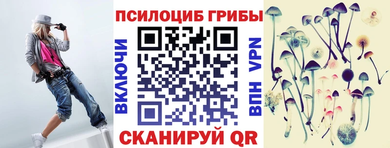 Псилоцибиновые грибы Psilocybe  закладка  Реж 