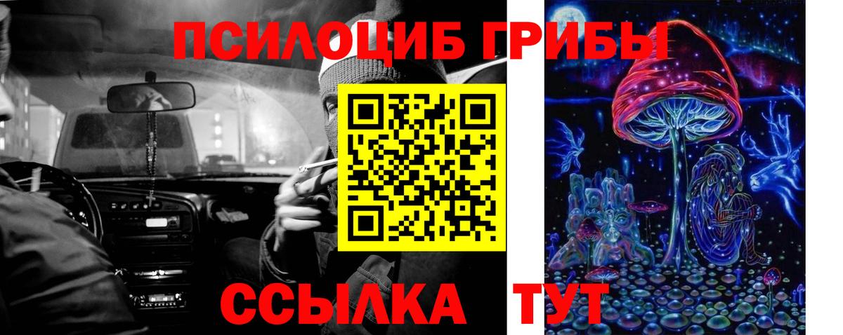 Реж  Галлюциногенные грибы мухоморы  Вход с VPN 